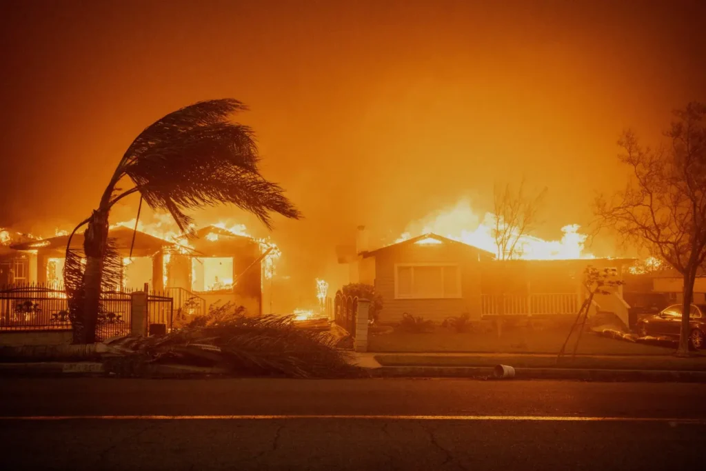 The Impact of Los Angeles Wildfires on Businesses