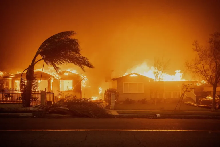 The Impact of Los Angeles Wildfires on Businesses